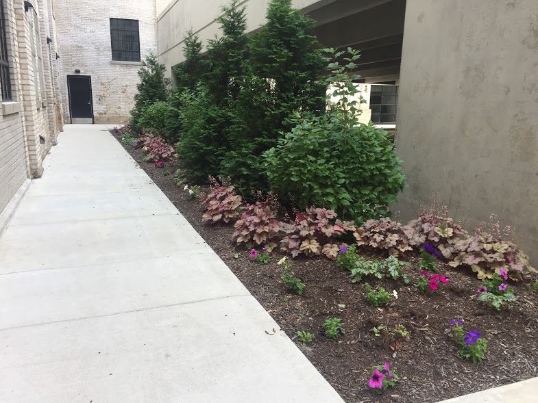 19437739_1252684278163853_1368849453490463806_n