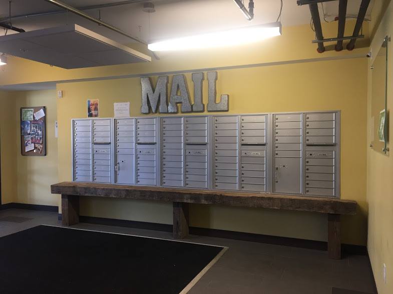 19601239_1252684011497213_6613463540506292366_n