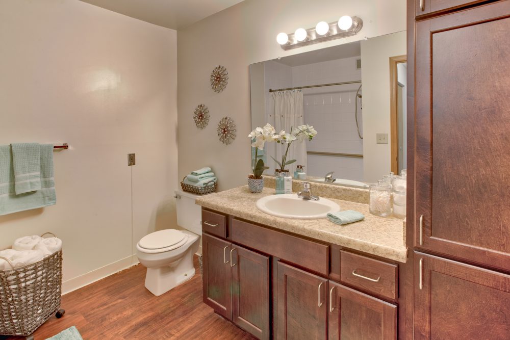 Ambrose Ridge Apartments Grand Rapids MI Bathroom 9203