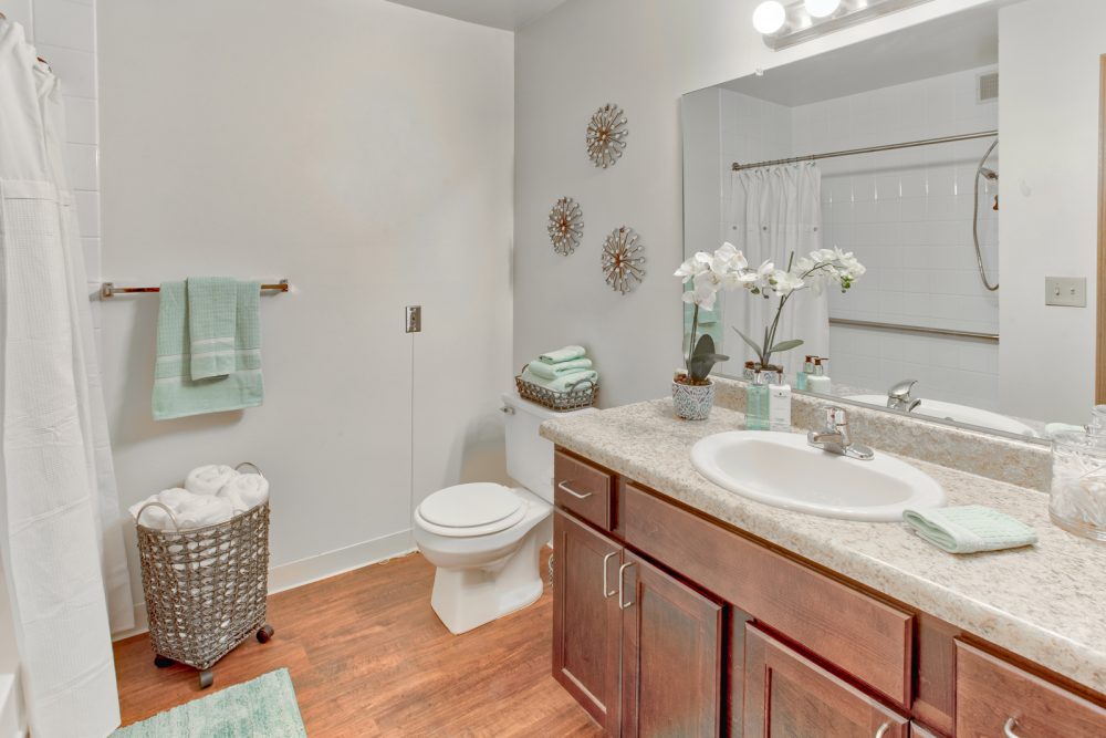Ambrose Ridge Apartments Grand Rapids MI Bathroom 9204