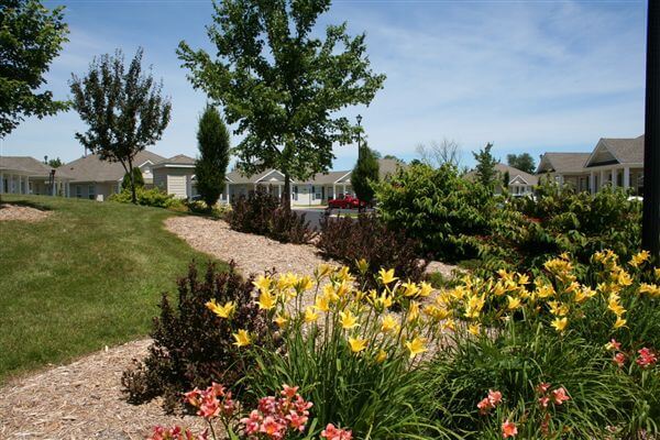 Apple Ridge Landscape