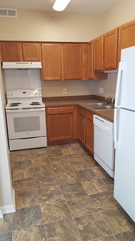 Colony Arms Apartments Detroit MI Kitchen