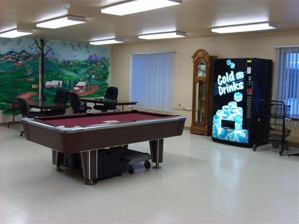 Dauner Haus Fenton MI Apartments Billards Room