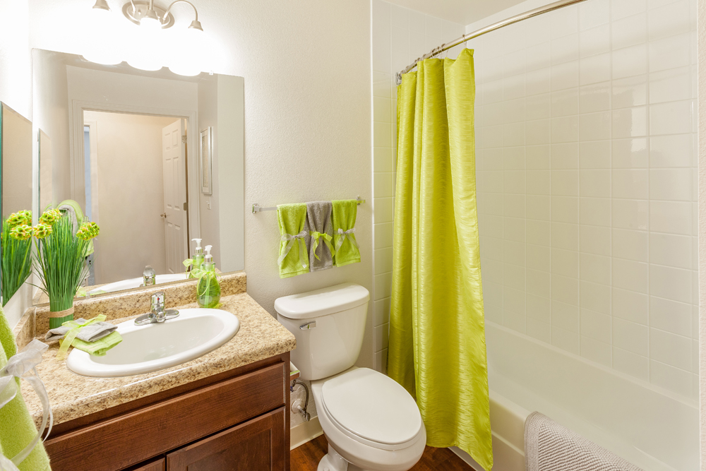 Silver Creek Apartments Flat Rock MI Guest Bathroom 9929