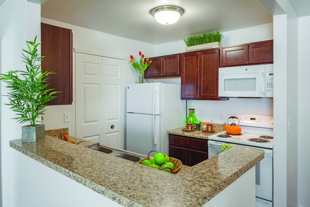 Silver Creek Apartments Flat Rock MI Kitchen Closeup 9973