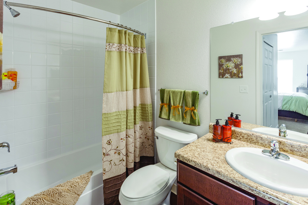 Silver Creek Apartments Flat Rock MI Master Bathroom 9965